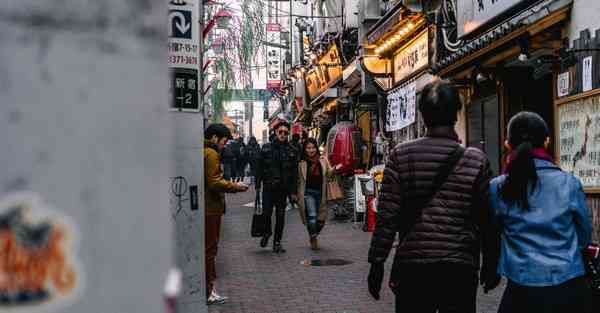 2022年农历腊月二十三日出生男孩缺木优雅名字大全